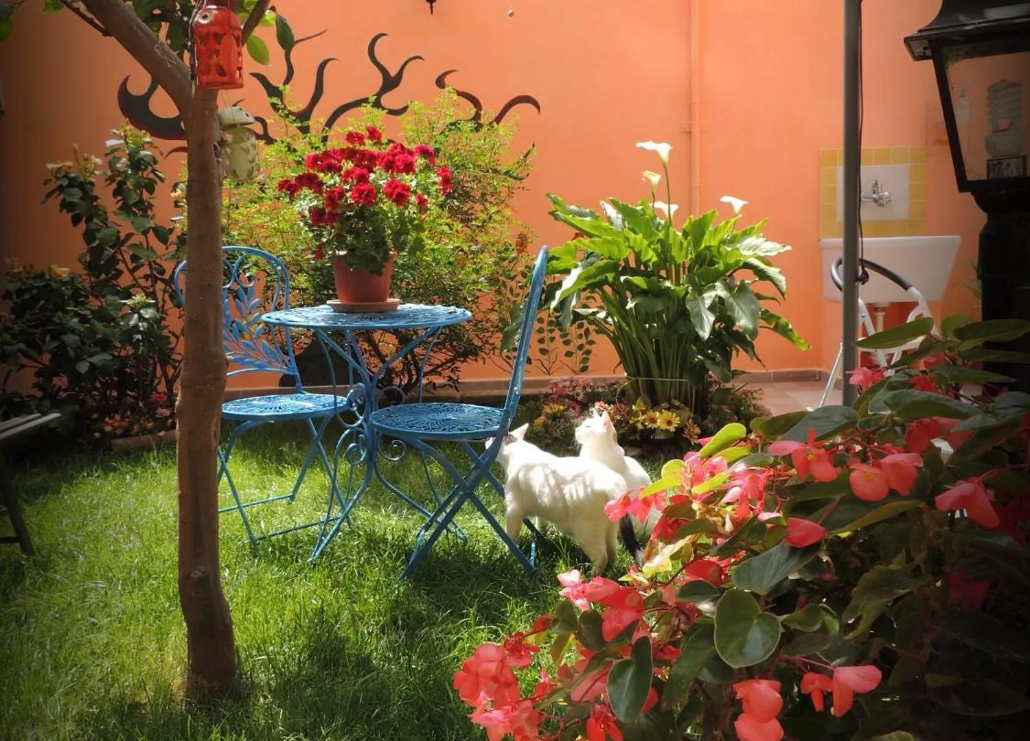 塞拉尔朱斯My Little Garden住宿加早餐旅馆 住宿加早餐酒店 塞拉尔朱斯